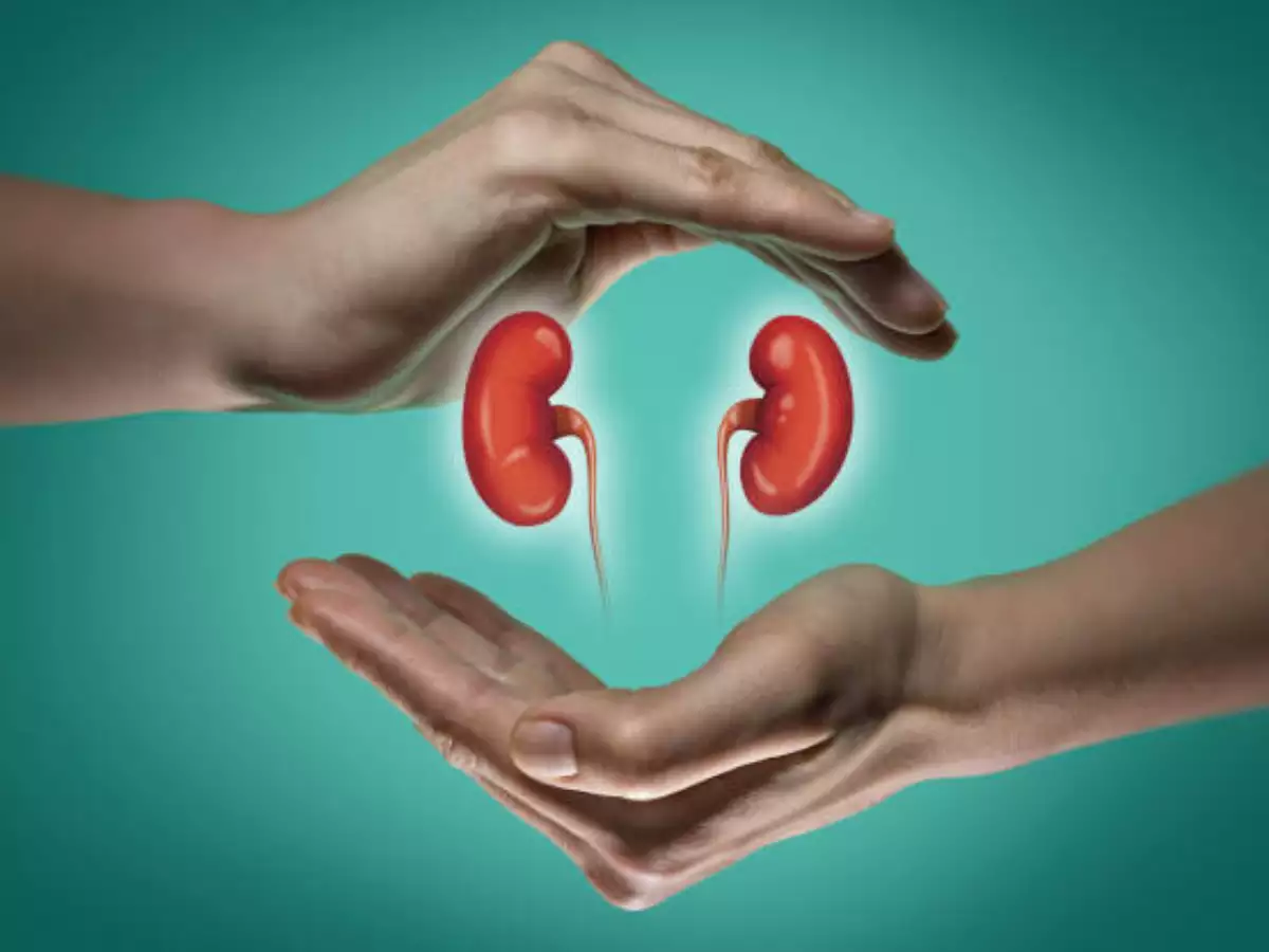 Kidney failure in Anaya Soni, the “Kashmera shakal dekh apni” craze among internet users, and more